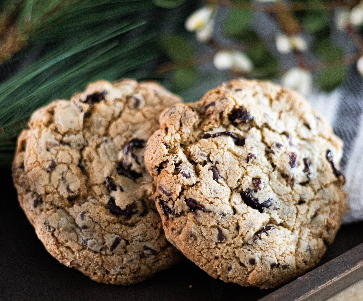 Cherry Chocolate Chip Cookie