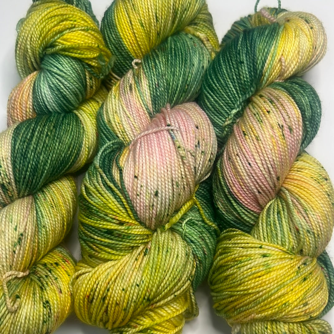 Rich Mountain Fiber Co Hand Dyed HT Fingering