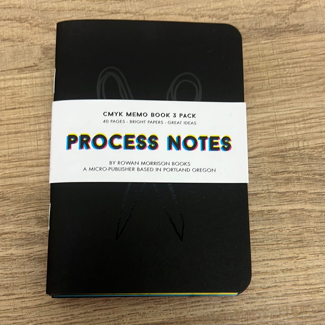 Process Notes Memo Book 3pk